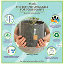 Root Pouch Boxer Brown Fabric Grow Bag with Handles - 15 Gallon - Indoor Farmer