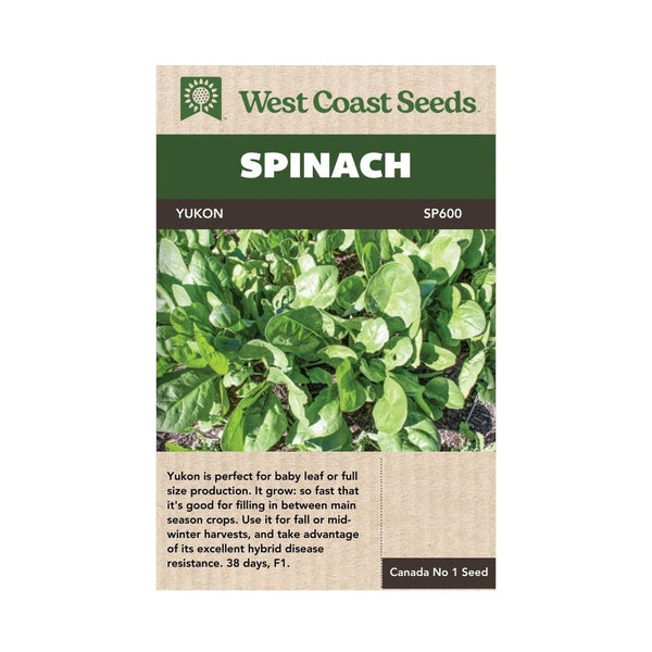 Spinach - Yukon Spinach Seeds - Indoor Farmer