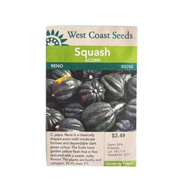 Squash - Reno Acorn Squash Seeds 9 seeds - Indoor Farmer