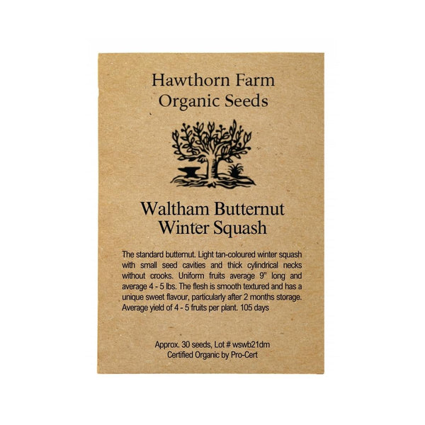 Squash - Waltham Butternut Seeds 30 Seed Packet - Indoor Farmer