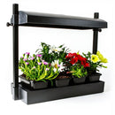 Sunblaster Growlight Garden Micro LED - Indoor Farmer