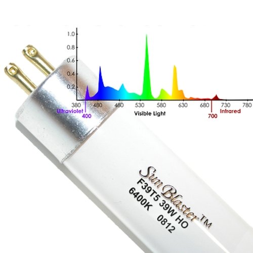 SunBlaster T5HO 6400K (Bulb Only) 12" - Indoor Farmer