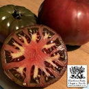Tomatoes - Cherokee Purple Seeds 50 Seed Packet - Indoor Farmer