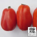 Tomatoes - San Marzano Seeds 50 Seed Packet - Indoor Farmer