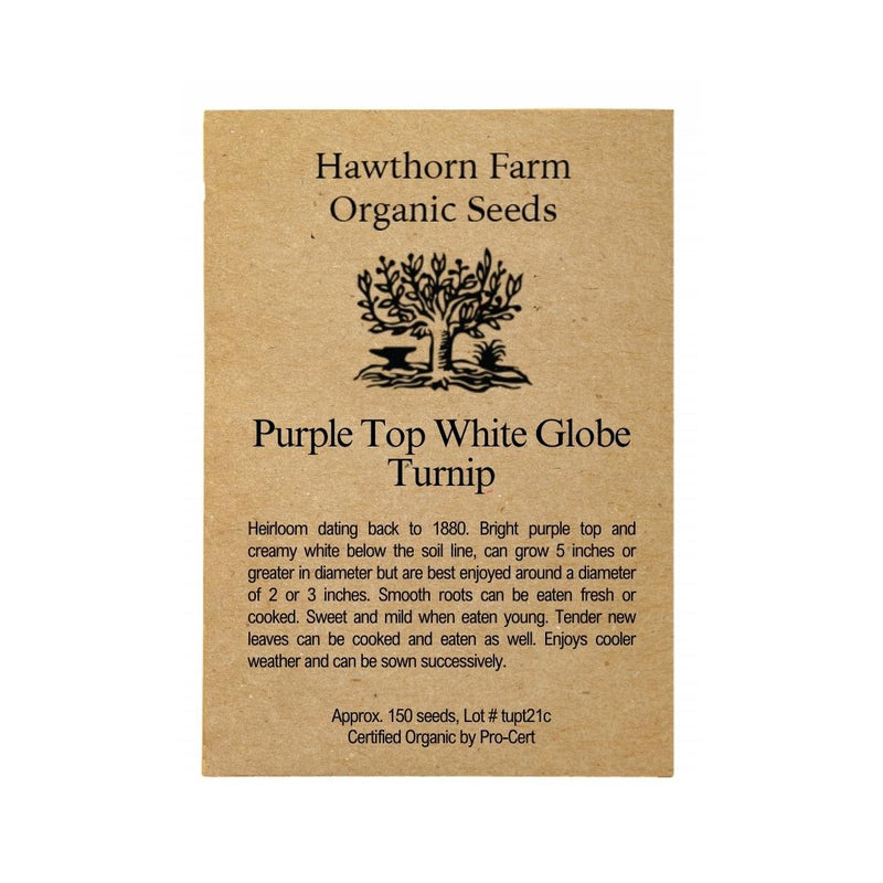 Turnip - Purple Top White Globe Seeds - Indoor Farmer