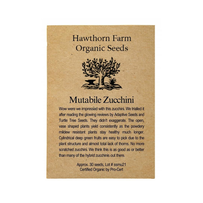 Zucchini - Mutabile Seeds - Indoor Farmer